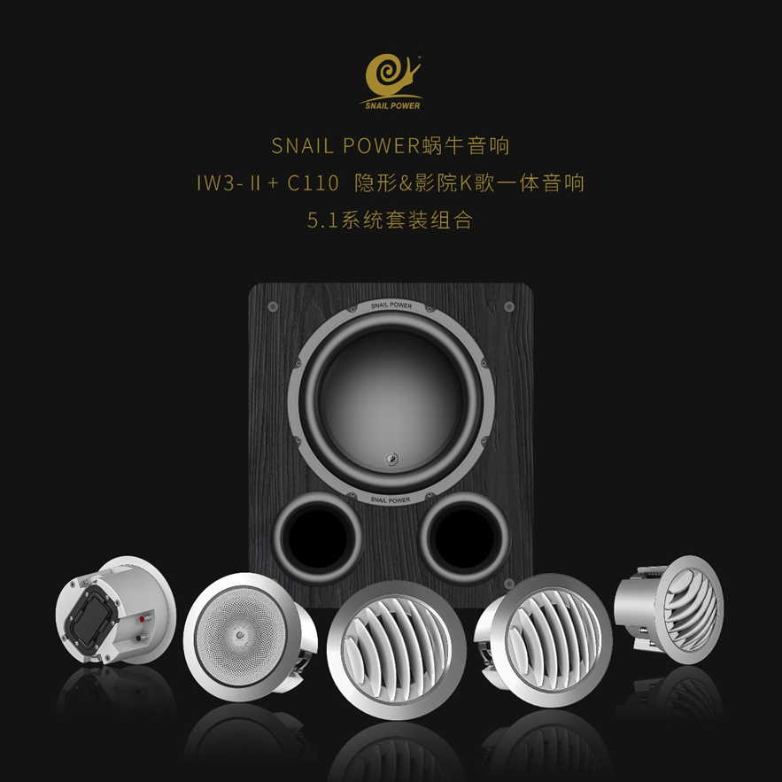 性能拉满的500瓦10寸小钢炮，蜗牛音响C110低音炮发布（图6）