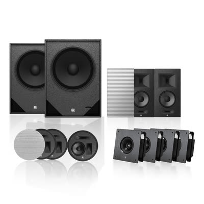 X118 Passive Subwoofer: An 18-inch driver with 2000W power handling and 20Hz bas